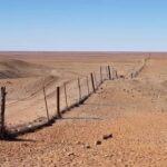 Benteng Raksasa di Tengah Gurun: Kisah, Misteri, dan Dampak Ekologis Pagar Dingo Australia