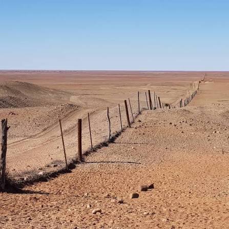 adalah pagar terpanjang di dunia dengan panjang sekitar 5.614 kilometer, yang dibangun untuk melindungi hewan ternak domba dari serangan anjing liar dingo.
