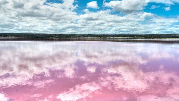 danau-pink-di-hutt-lagoon-port-gregory-western-australia-hutt-lagoon-near-port-gregory-wa_169