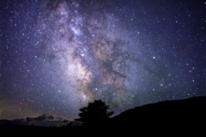 jumlah pohon lebih banyak dari bintang?